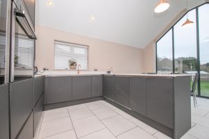 THE CONIFERS- click for photo gallery